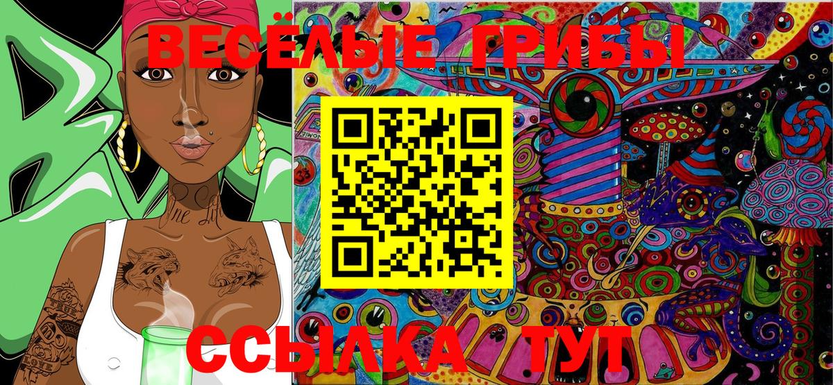 Советск  Галлюциногенные грибы MAGIC MUSHROOMS  Вход с VPN  Галлюциногенные грибы Psilocybe 